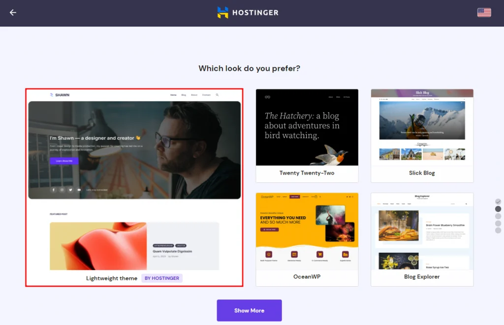 How To Install WordPress on Hostinger? Step By Step Tutorial For Beginners 5 Selection of theme in hostinger